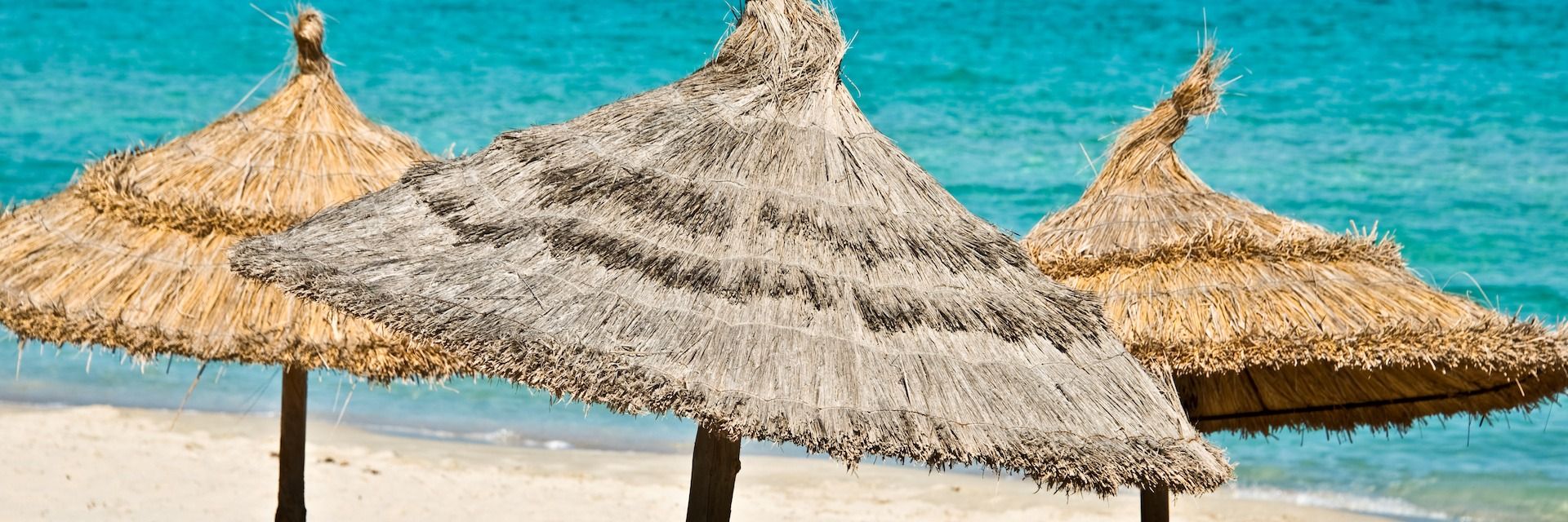 Contact IMMO BELGICA