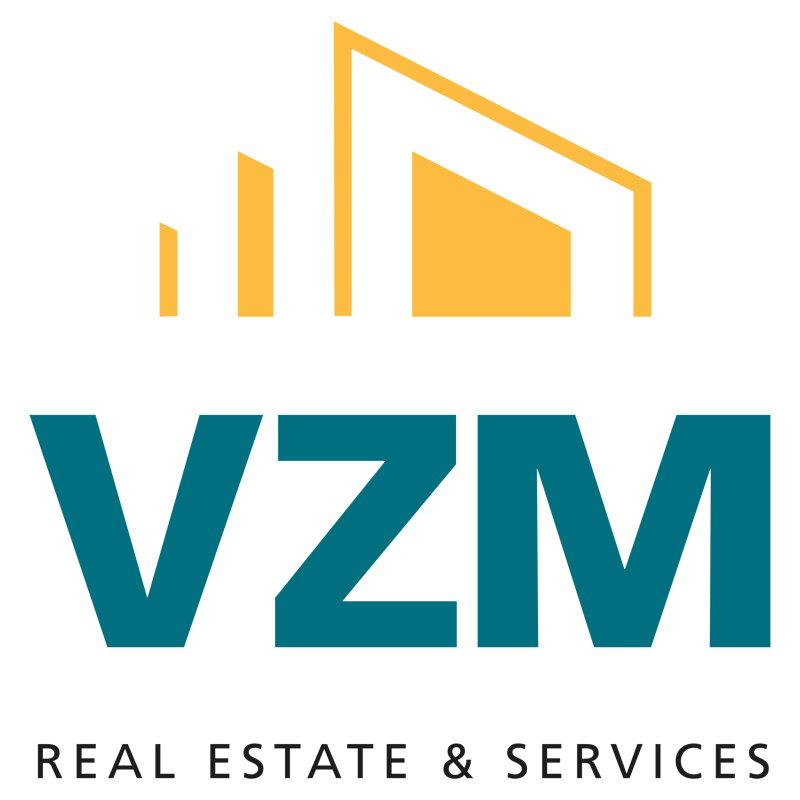 VZM Logo color